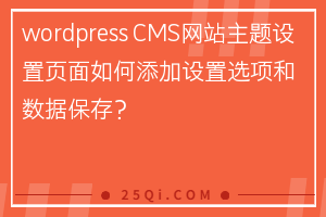 wordpress CMS网站主题设置页面如何添加设置选项和数据保存？