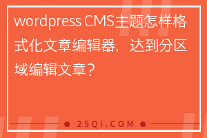 wordpress网站CMS主题怎样格式化文章编辑器，达到分区域编辑文章？