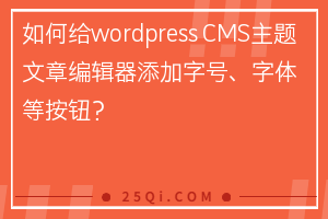 如何给wordpress网站CMS主题文章编辑器添加字号、字体等按钮？