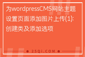 为wordpressCMS网站主题设置页面添加图片上传(1)：创建类及添加选项