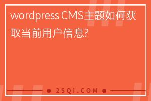 wordpress CMS主题如何获取当前用户信息?