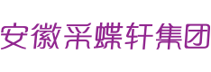 安徽采蝶轩集团