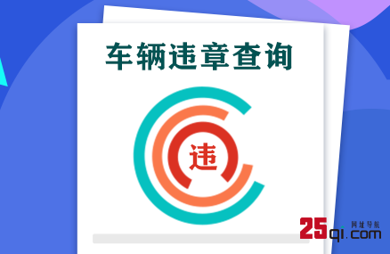 车辆违章查询-闯红灯超速_交通罚款代缴-掌付通查违章平台