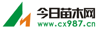 今日苗木网_苗木求购信息_苗木信息网站_苗木价格_苗木基地