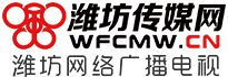 潍坊传媒网-潍坊市广播电视台-潍坊电视台