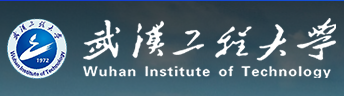 武汉工程大学